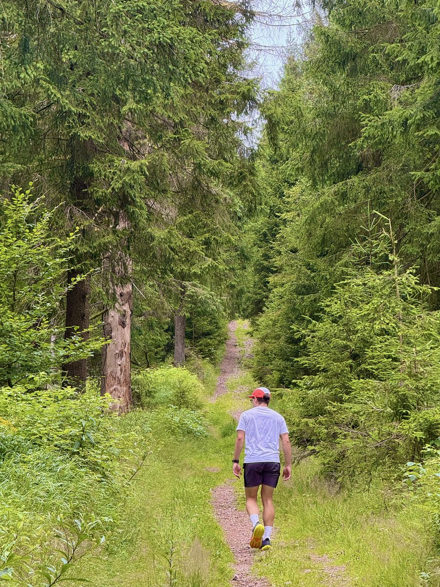 Ein Wanderer in weißem Shirt und roter Kappe geht einen schmalen Grasweg zwischen Fichten bergauf