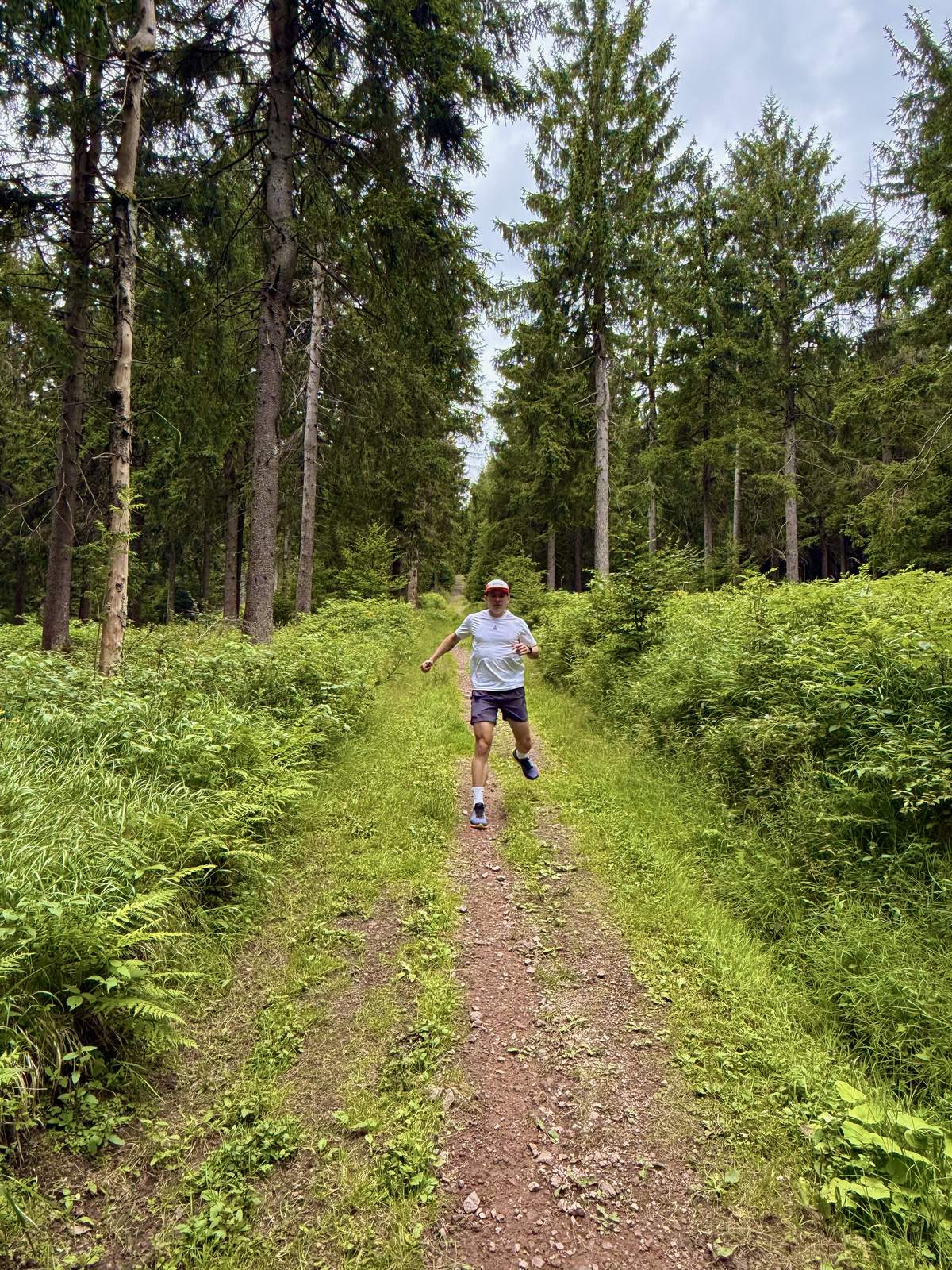 Einzelner Läufer auf einem schmalen Waldweg zwischen Fichten